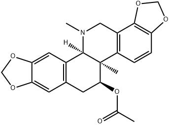 Acetylcorynoline